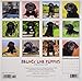 Just Black Lab Puppies 2019 Wall Calendar (Dog Breed Calendar)