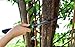 FELARS Handspike Garden Folding Hand Saw, Landscaping (RAZOR SHARP 8.5