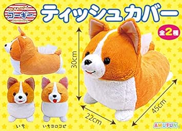ichini corgi