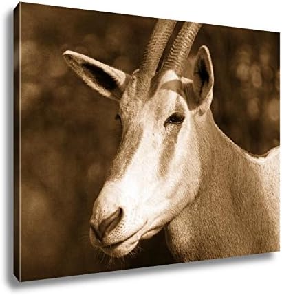 Ashley Canvas Close Up Of Oryx Head, Wall Art Home Decor, Ready to Hang, Sepia, 16x20, AG5965297