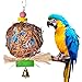 Myguru Bird Toys, Bird Chewing Bite Parrot Cage Toy for Small African Grey Macaws Cockatoos