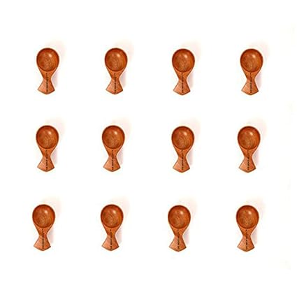 Indus Valley Masala Spoon Set of 12 for Small CONTAINERS (Table Spoon Size). Handmade Spoon for Tea, Coffee, Sugar, Condiments and Spices