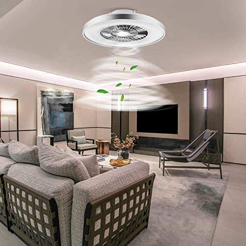 BKZO 60CM LED Ceiling Light with Fan, Ceiling Fan Lights 24 Levels Wind Speeds, Stepless Dimming Light, Modern Fan Lighting for Living Room, Dining Room, Bedroom, Office, 3000-5500K, Silver Frame