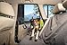 RUFFWEAR - Dirtbag Vehicle Seat Cover for Dogs, Granite Gray