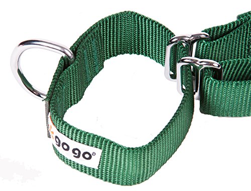 GoGo Pet Products GoGo 3/4-Inch Martingale Dog Collar, Medium, Hunter Green