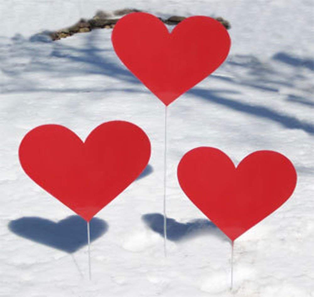 Amazon.com: Heart Garden Stakes (Set of 3): Handmade