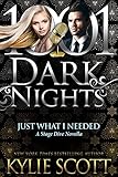 Just What I Needed: A Stage Dive Novella