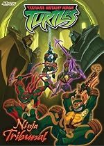Teenage Mutant Ninja Turtles: Ninja Tribunal