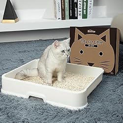 BLUERISE Tofu Cat Litter 6LB×2Bags Natural Cat