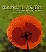 Sanctuary: Gardening for the Soul by 