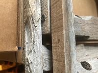 Review Image by Andracula Celeste Andracula Celeste