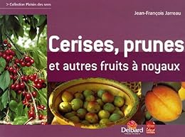 Cerises, prunes et autres fruits à noyau
