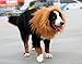 Looching Lion Mane Dog Costume Wig, Brown