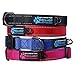 Max and Neo NEO Nylon Buckle Reflective Dog Collar - We Donate a Collar to a Dog Rescue for Every Collar Sold (Medium, Pink)