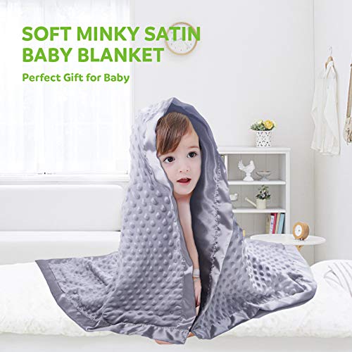 minky dot blanket