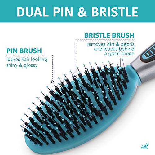 Groomist Ball Tip Porcupine Pin Dog Brush With Ergonomic Soft Grip