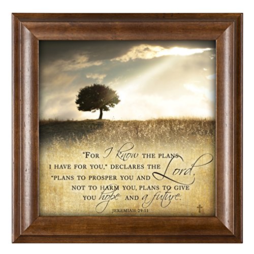 For I Know The Plans I Have For You Jeremiah 29 11 12 X 12 Woodgrain 