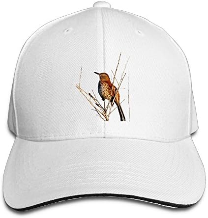 Brown Thrasher Dad Hat Sun Hat Sandwich Baseball Cap Hats