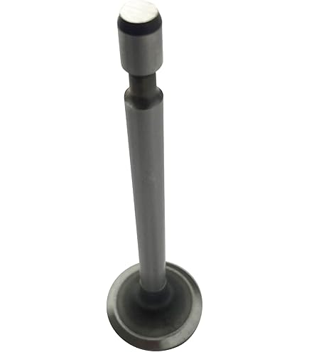 Amazon.com: B&S Intake Valve Replaces B&S 261044 : Automotive
