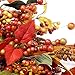 VGIA 22 inch Artificial Fall Wreath Door Wreath Autumn Wreath Berry Wreath Fall Decorations