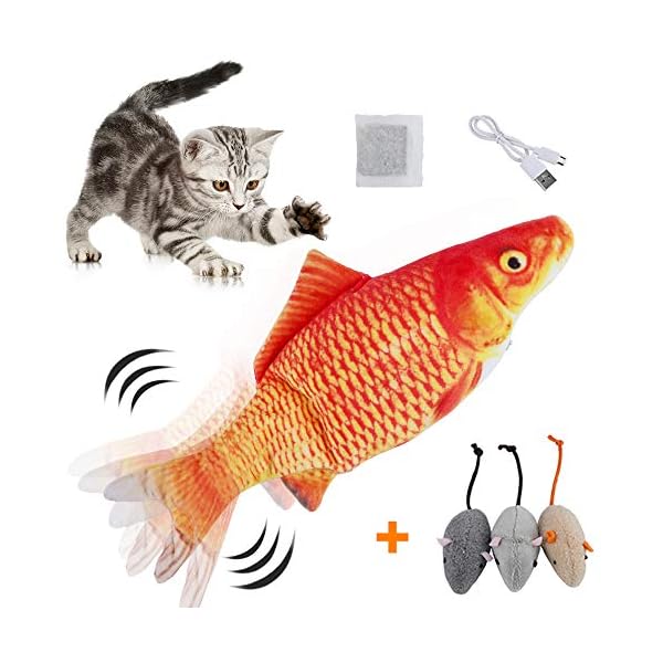 moving fish for cats