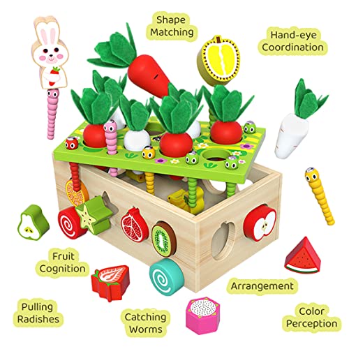 Rexinc Montessori Toys for 1 2 3 4 Year Old Wooden Educational Toys for