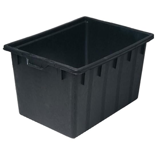 bassin de jardin amazon