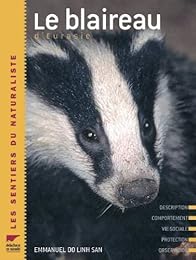 Le  blaireau d'Eurasie