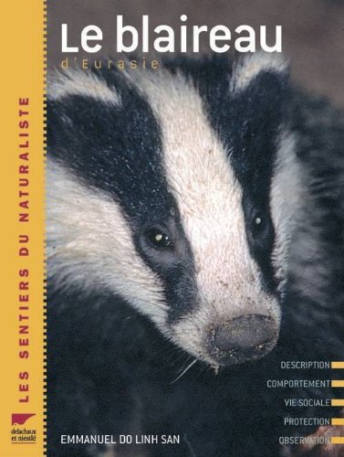 Le  blaireau d'Eurasie