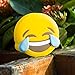 DBigness 2600mAh Laught Tear Cute Funny Gift Cartoon PVC External Battery Portable Charger Backup Pack Power Bank for iPhone 7 7 Plus 6 6S Plus 5S 5C SE 4S and Android Phone