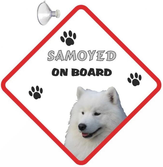 lazy samoyed