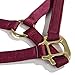Intrepid International Nylon Miniature Horse Halter, Burgundy, Large