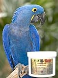 Avitech AviVita Gold High Potency Multivitamin Supplement 2 oz