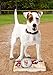 Pets First MLB New York Mets Dog Nylon Baseball Rope Toy