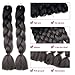 Lady Corner Ombre Braiding Hair 24inch Jumbo Braids High Temperature Fiber Synthetic Hair Extension 5pcs/Lot 100g/pc for Twist Braiding Hair (24inch(Pack of 5), Black-Silver grey)