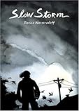 Front cover for the book Slow Storm by Danica Novgorodoff