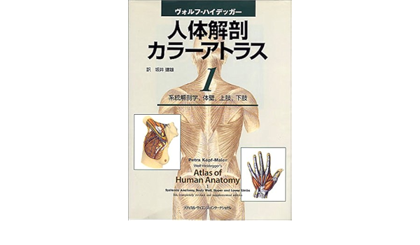 ヴォルフ ハイデッガー 人体解剖カラーアトラス 1 系統解剖学 体壁 上肢 下肢 Amazon Com Books ヴォルフ ハイデッガー 人体解剖カラーアトラス 1 系統解剖学 体壁 上肢 下肢 Amazon Com Books