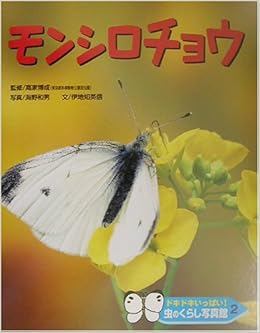 ドキドキいっぱい 虫のくらし写真館 2 モンシロチョウ 伊地知 英信 博成 高家 本 通販 Amazon
