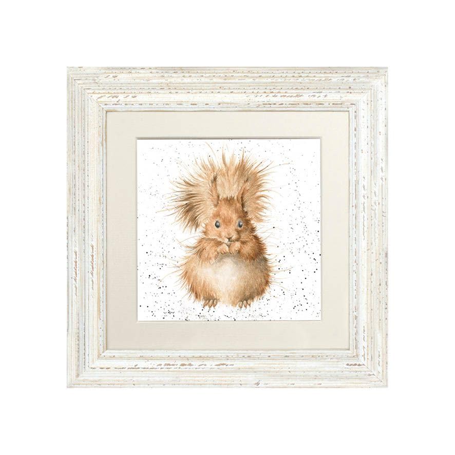 Wrendale Designs Framed Greeting Card Red Head Squirrel- in a White Frame