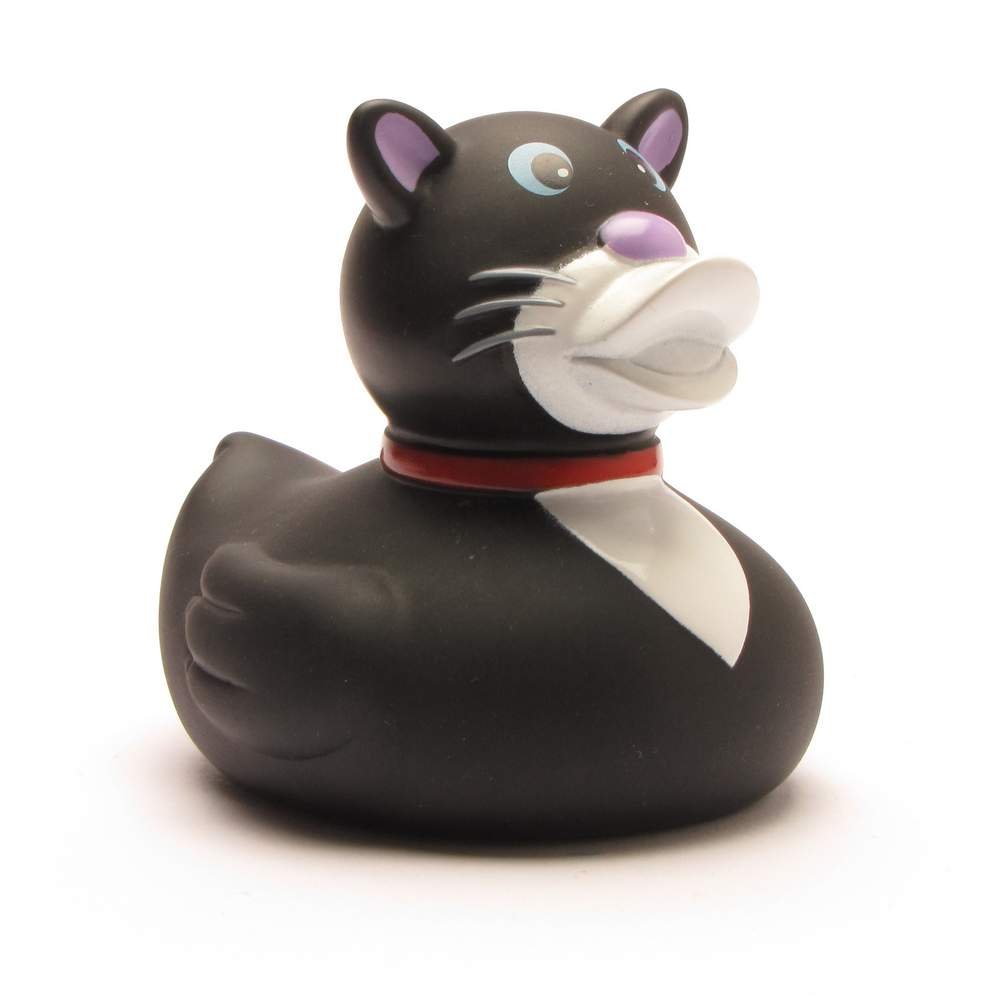 cat rubber duck