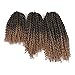 8 10 12 Inch 3pc/pack Kinky Curly Twist Crochet Braids Mali Bob Afro Crochet Hair Ombre Crochet Braiding Marleybob Jerry Curly Weaves 3Packs (T27)
