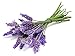 GuruNanda Lavender Essential Oil, 100% Pure, Natural & Undiluted Aromatherapy Oil for Diffusers, Massage & DIY Recipes, Aids Relaxation and Feeling of Calmness (0.5 FL Oz)