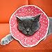 SunGrow Cat Cone Collar Soft, Pet Recovery Elizabethan E Collar Soft Neck Cone to Stop Licking for Cats & Kittens After Surgery, Cat Surgical Recovery Suit for Wound Cover, Puppy Dog & Rabbit Cone