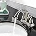 Comllen LS012NJ 4 kitchen faucet, Brushed Nickel