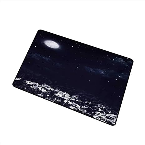 Amazon Com Outdoor Doormat Night Dark Night And White