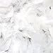 Skeleteen Feather Boa Costume Accessory - 1920's White Boa with Feathers - 1 Piece