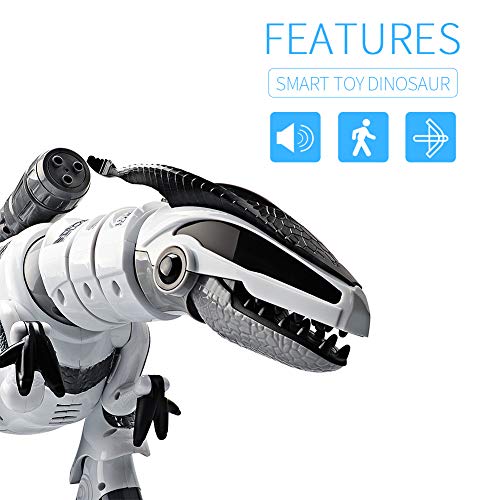 DX DA XIN Remote Control Dinosaur Toys, Interactive Programmable Robot