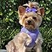 Doggie Design Dog Harness - No Choke Dog Harness, Dog Vest, Mesh Polyester, Pet Harness, Simple Step in and Go Design - Paisley Purple - XXS