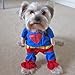 Alfie Pet by Petoga Couture - Superhero Costume Superman - Size: XS