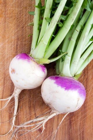 3LBS Purple Top Turnip Deer Food Plot Seeds Food Plot Non-GMO Vegetable Garden Micro Greens Seeds Whitetail Deer Green Goose